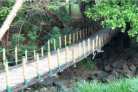 Em Goiânia, manutenção de ponte em parque já dura 5 meses