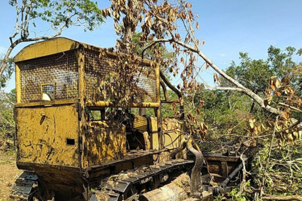 Semad flagra desmatamento ilegal em Bom Jardim de Goiás