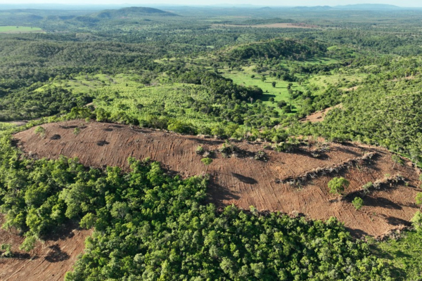 Fiscalização flagra desmatamento de 190 hectares em fazenda em Mara Rosa e aplica multa de R$ 211 mil